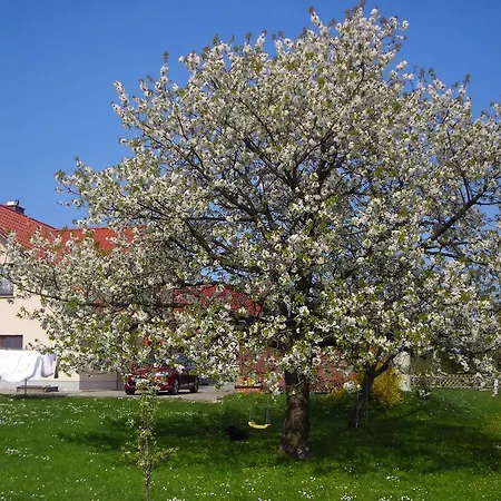 Apartment Gisela Kaestner *