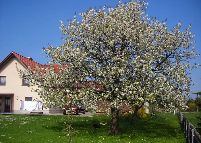 Apartment Gisela Kaestner *